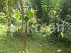 Land for Sale in Horana