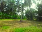 Land for Sale in Horana