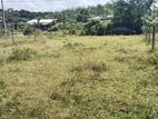 Land for Sale in Horana