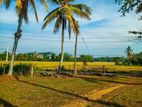 Land for Sale in Horana