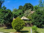 Land for Sale in Horana