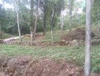 Land for Sale in Horana