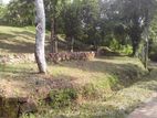 Land for Sale in Horana