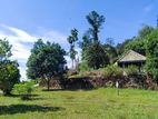 Land for Sale in Horana.