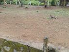 Land for Sale in Horana