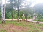 Land for Sale in Horana