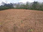 Land for Sale in Horana