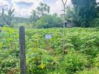 Land for Sale in Horana