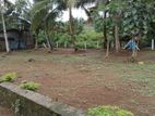 Land for Sale in Horana