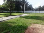 Land for Sale in Horana