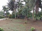 Land for Sale in Horana