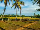 Land for Sale in Horana