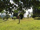 Land for Sale in Horana