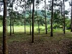 Land for Sale in Horana