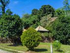 Land for Sale in Horana