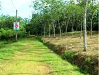 Land for Sale in Horana