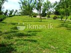 Land for Sale in Horana