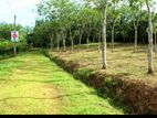 Land for Sale in Horana