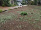 Land for Sale in Horana