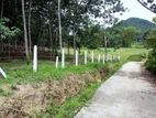 Land for Sale in Horana.