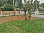 Land for Sale in Horana