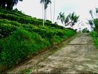 Land for Sale in Horana