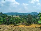 Land for Sale in Horana.