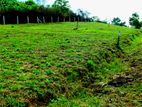 Land for Sale in Horana