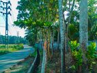 Land for Sale in Horana