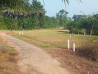 Land for Sale in Horana