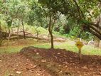 Land for Sale in Horana