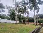 Land for Sale in Horana