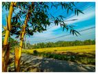 Land for Sale in Horana