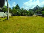 Land for Sale in Horana