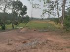 Land for Sale in Horana Gurugoda