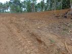Land for Sale in Horana, Handapangoda