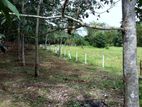 Land for Sale in Horana - Kakuladhola.