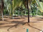 Land for Sale in Horana -Kalutara