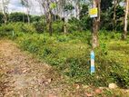 Land for sale in horana labugama