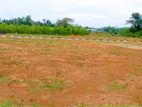 Land for Sale in Horana Madurawala