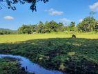 Land for Sale in Horana, Meewanapalana