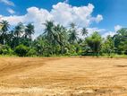 Land for Sale In Horana (Meewanapalana)