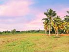 Land For Sale in Horana - Meewanapalana