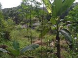 Land for Sale in Horana Near Boi Zone