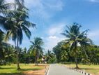 Land for sale in Horana padukka road ( 50m)