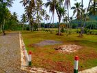 Land for Sale in Horana Pokunuvita