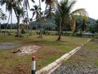 Land for Sale In Horana Pokunuwita