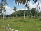 Land for Sale in Horana, Pokunuwita