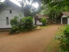 Land for Sale in Horana - Pokunuwita