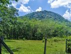 Land for sale in Horana - Poruwadanda